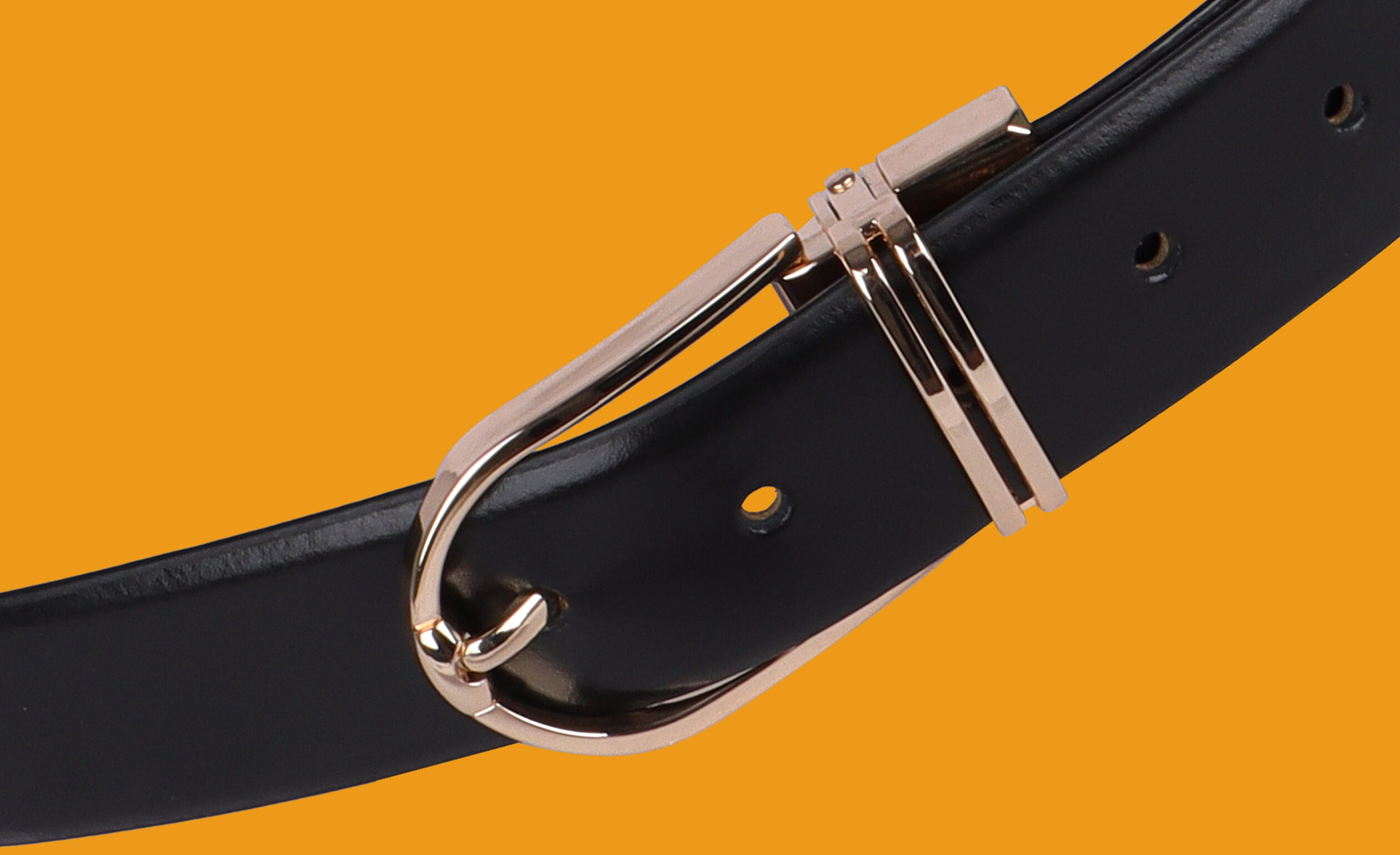 IMG 230012 1 e1745701858208